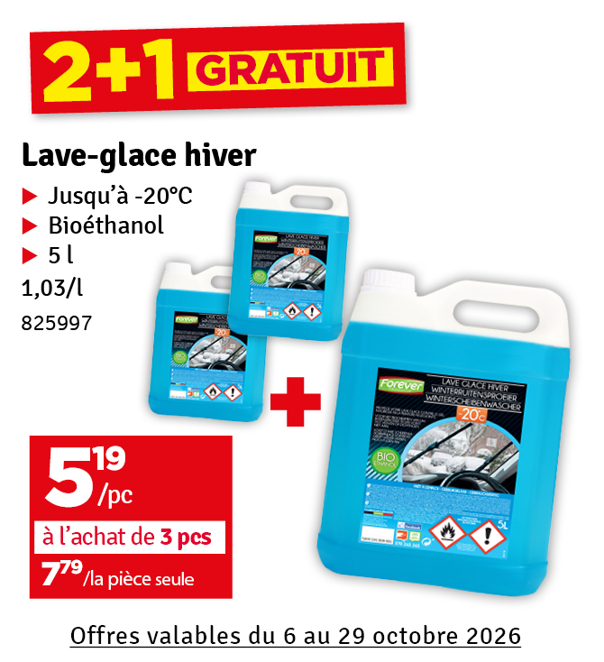 Lave-glace antigel -20°C 5 L FOREVER
